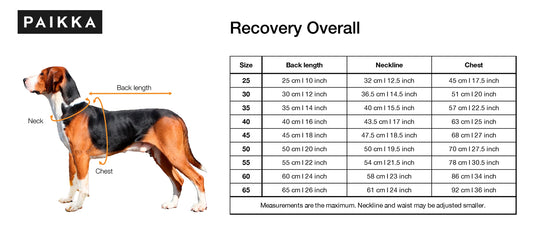 Paikka Recovery Overall – Återhämtningsdräkt för hund med justerbar passform