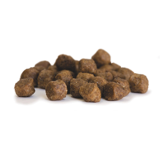 Harmony Puppy Spannmålsfritt Hundfoder